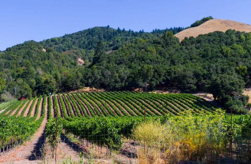 Driveway Asphalt Sealing: Santa Rosa